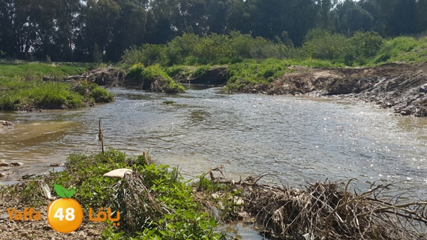 roben tabee3ar (5).JPG